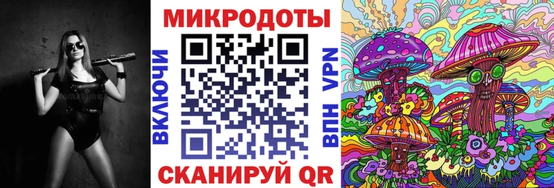 Купить  Ладушкин  Псилоцибиновые грибы Psilocybine cubensis 